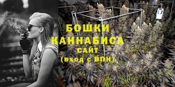 PSILOCYBIN Алзамай