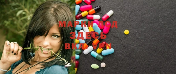 PSILOCYBIN Алзамай